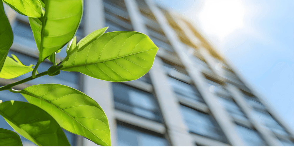 India’s tax and regulatory developments on foreign portfolio investors